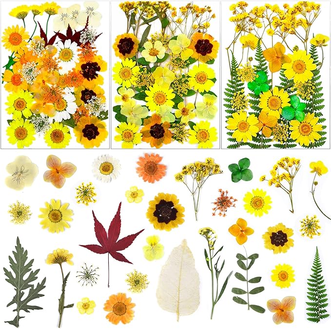 93 Pcs Yellow Dried Pressed Flowers Real Natural Leave Petals by LUCISKY