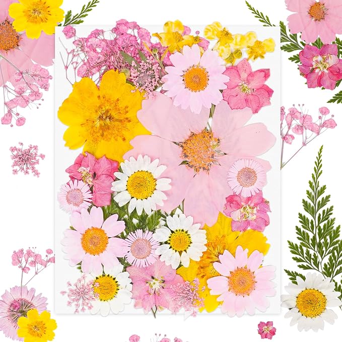 30Pcs Dried Pressed Flowers Bulk Dried Flowers by Kaddmedia
