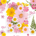 30Pcs Dried Pressed Flowers Bulk Dried Flowers by Kaddmedia