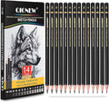 Qionew Professional Sketching Pencil by Qionew