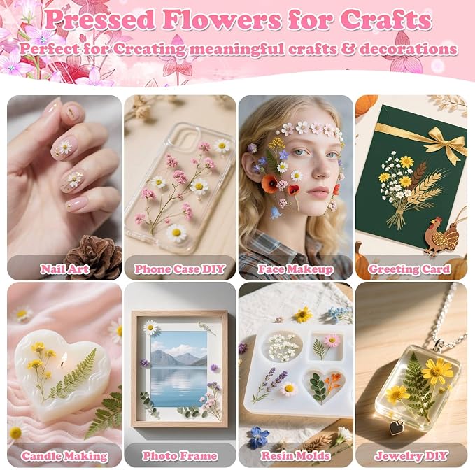 630 Pcs Dried Pressed Flowers - Image 5