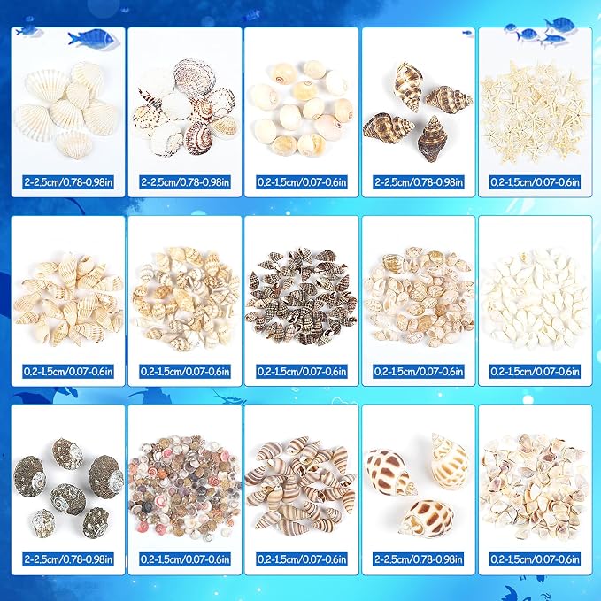 Fangoo 15 Types 800 Pcs Natural Tiny Mini Sea Shell Conch Starfish - Image 2