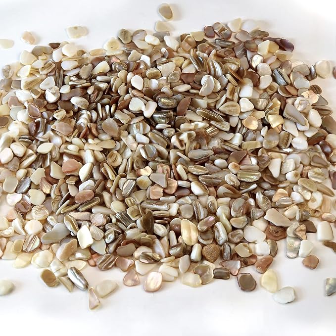 QICQDRAM Crushed Shells for Crafts About 1LB Small Natural Crushed Shells Bulk - Image 2
