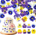 96 Pcs Natural Dried Pressed Edible Flowers by Unknown
