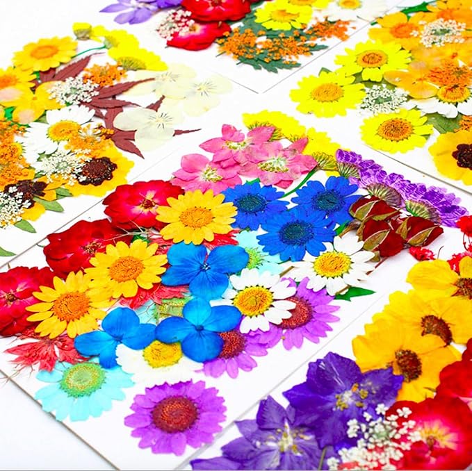 152 Pcs Dried Pressed Flowers for Resin and Nails, Real Natural Flowers Leaves - Image 3
