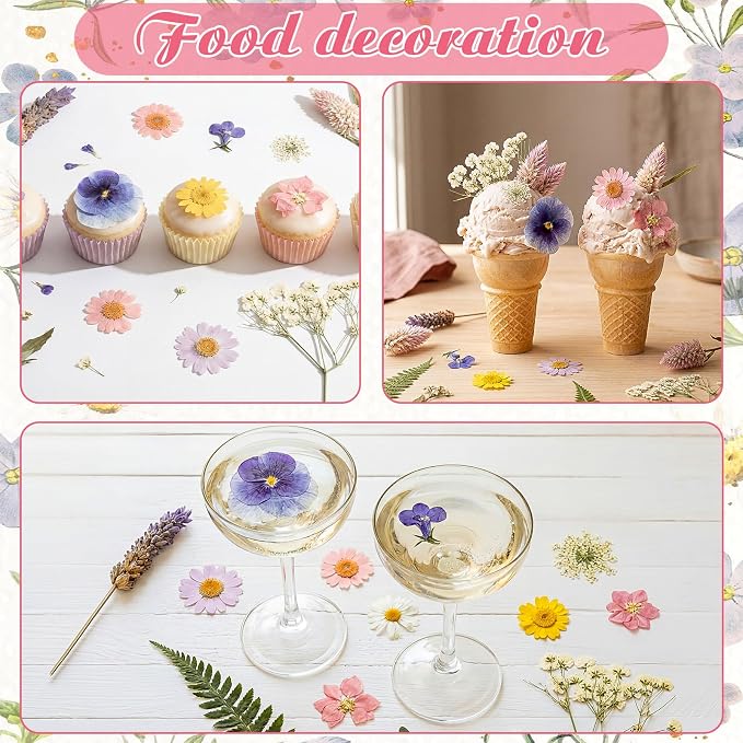 96 Pcs Natural Dried Pressed Flowers - Image 6