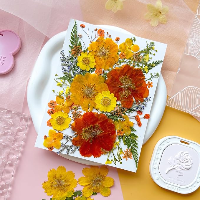35Pcs Yellow Pressed Dried Flowers - Image 3