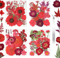 Dried Flowers for Resin | Vacuum Packed DIY Pressed Flowers for Epoxy, Nail by CONVELIFE