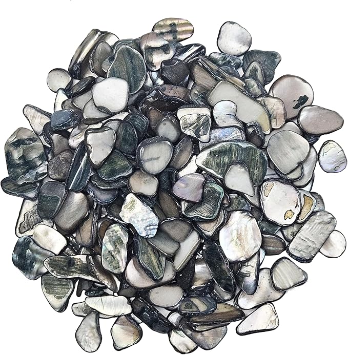 Natural Crushed Shells Chips Irregular Mother of Pearl Seashell Fragments Sea by EDSRDUS