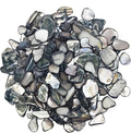Natural Crushed Shells Chips Irregular Mother of Pearl Seashell Fragments Sea by EDSRDUS