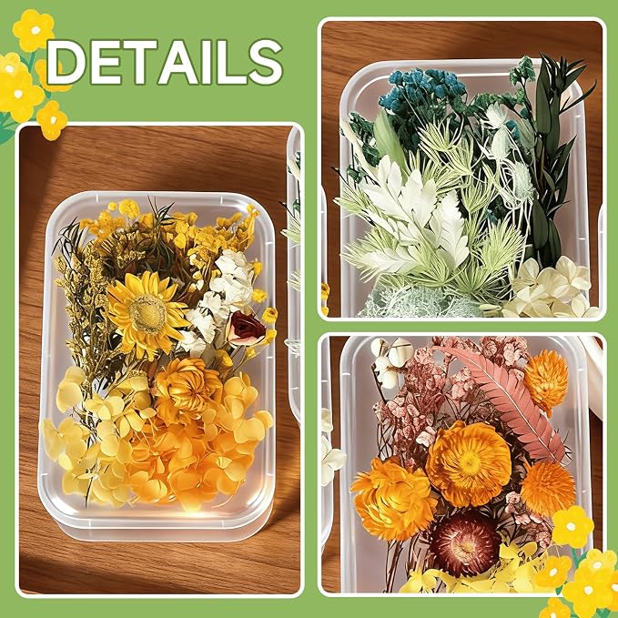 2PCS Dried Flowers Kit, Natural Dried Flowers Kit - Image 5
