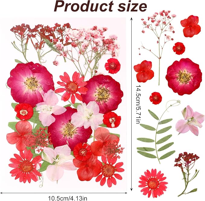 Dried Pressed Flowers Real Pressed Flowers Natural Dry Leaves Bulk Mixed - Image 2