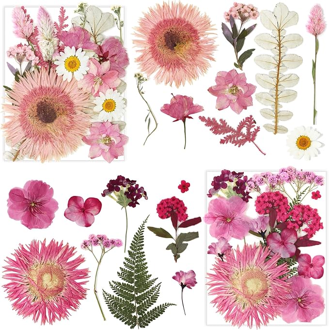 34 Types 60PCS Real Dried Pressed Flowers Leaf Plant Herbarium - Image 3