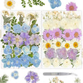 Dried Pressed Flowers Real Pressed Flowers Natural Dry Leaves Bulk Mixed by Gvhntk
