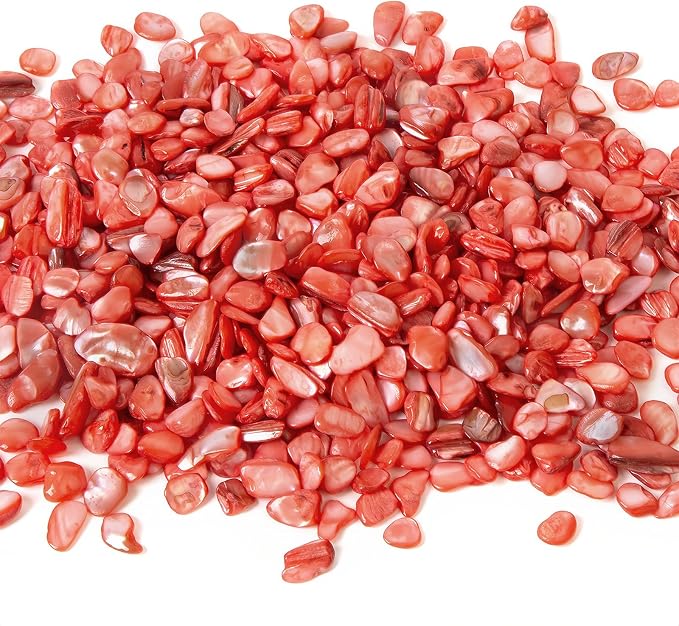 QICQDRAM Crushed Shells for Crafts About 1LB Small Natural Crushed Shells Bulk - Image 2