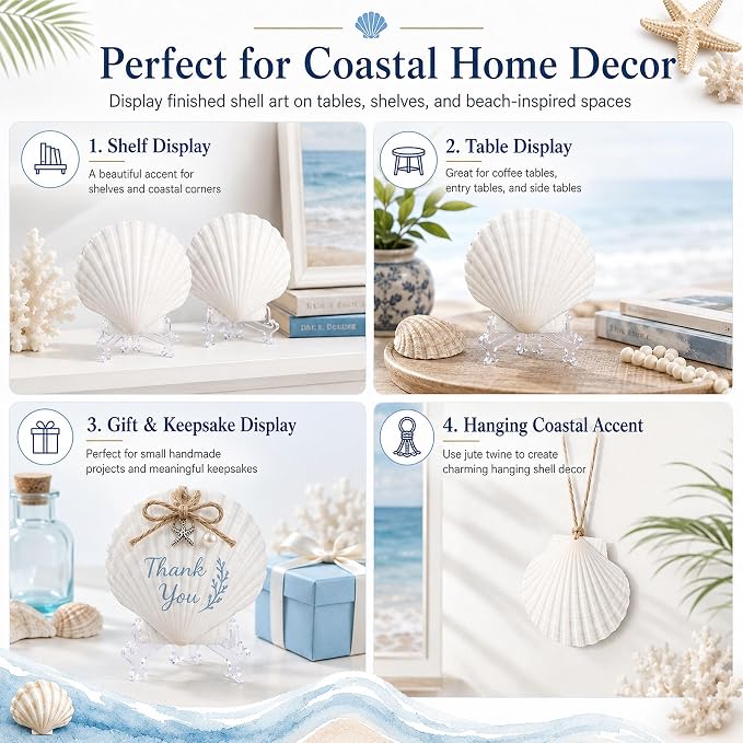Cizavanta 15 Pack Large Scallop Shells - Image 6