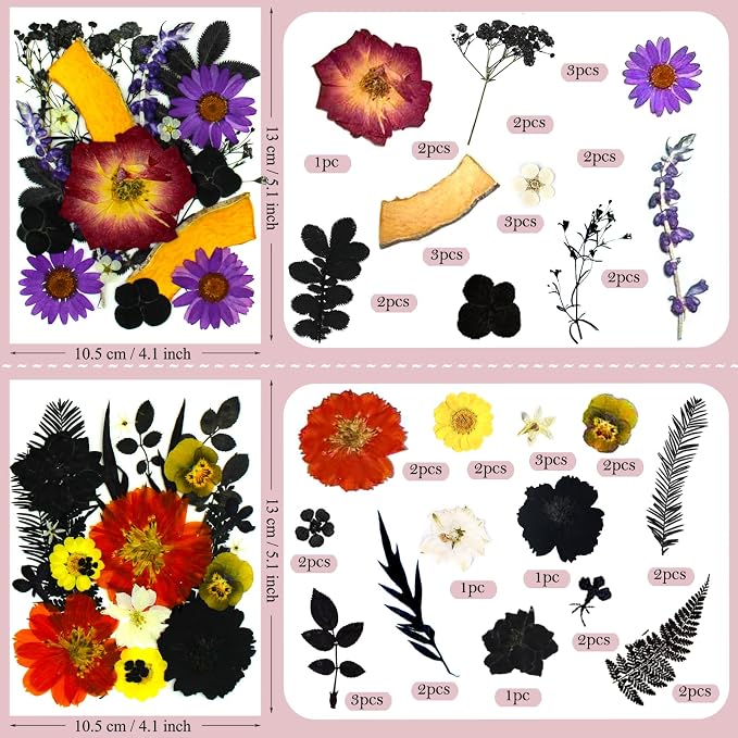 92 Pcs Dried Pressed Flowers Fruits - Image 5