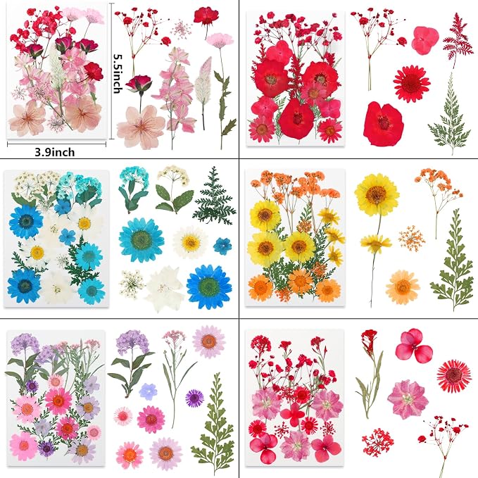 NESCCI 428 Pcs Dried Pressed Flowers - Image 5