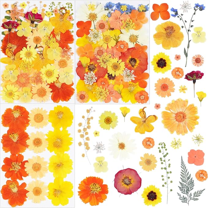 96Pcs Fall Dried Pressed Flowers by Unknown