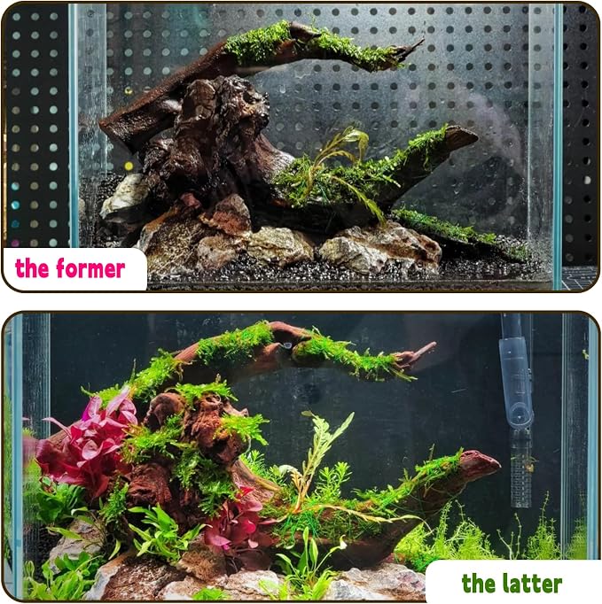 Hamiledyi Aquarium Driftwood, Natural Large 7-15in Coral Driftwood - Image 5