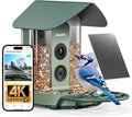Kiwibit Smart Bird Feeder with Camera Solar Powered, 4K Video Live Stream by Kiwibit