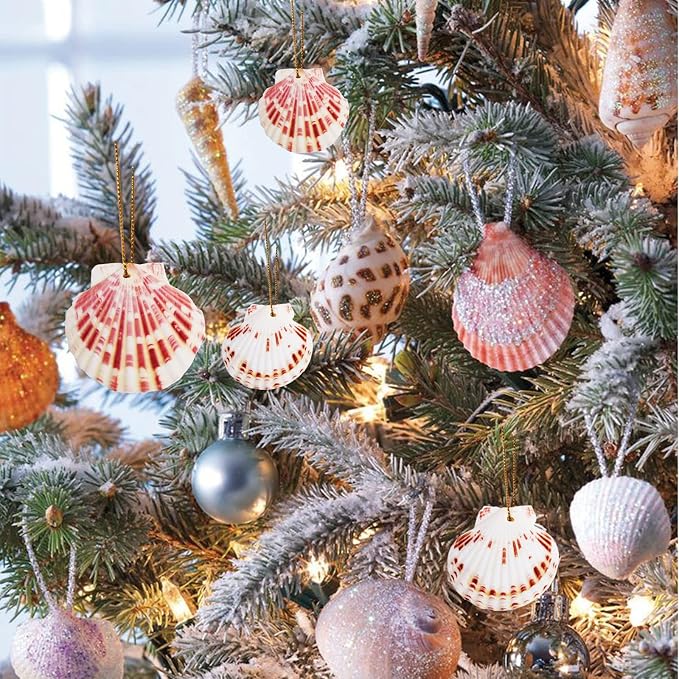 SINKOO 30PCS Scallop Shells, Natural Seashells 1.7"-2.6" - Image 3