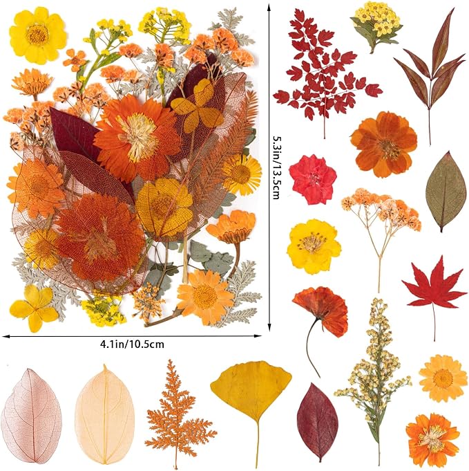 140 Pcs Fall Dried Pressed Flowers - Image 2