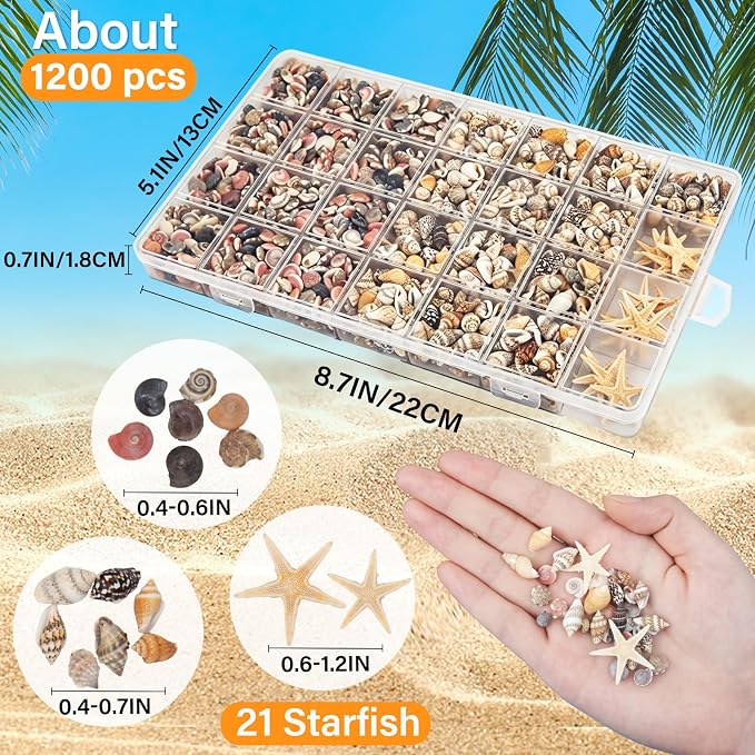 1200 PCS Tiny Seashells & 21 Starfish Mixed 18 Kinds Bulk Beach Small Shells - Image 2