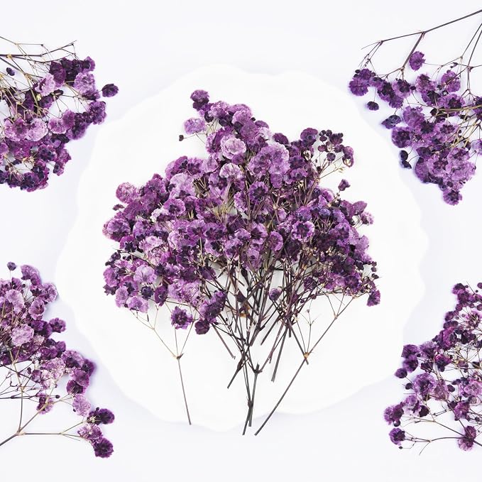 50Pcs Babys Breath Dried Pressed Flowers - Image 3