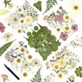 110Pcs Dried Flowers for Crafts, Real Pressed Flowers Dry Leaves Bulk Natural by Wellcometowyegey
