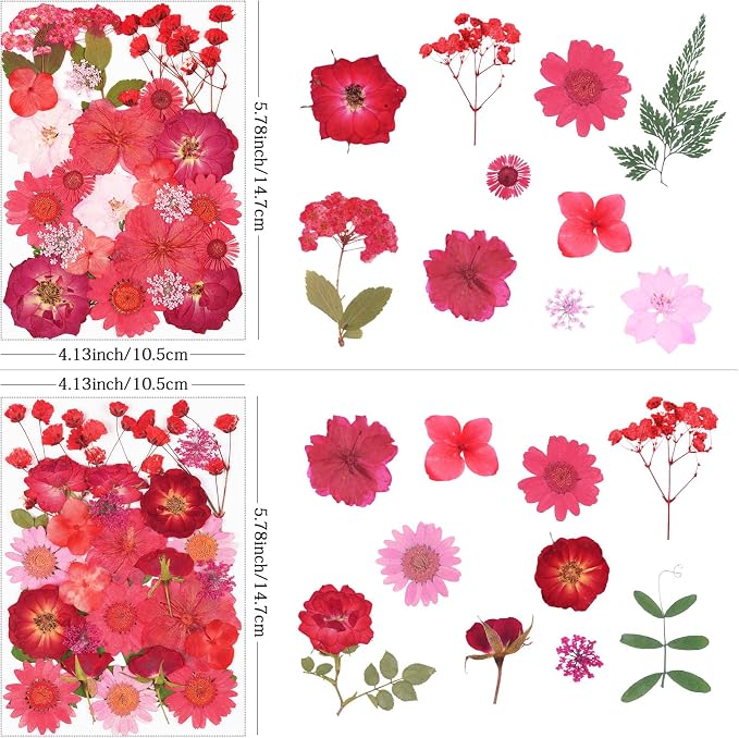 110Pcs Red Dried Pressed Flowers - Image 2