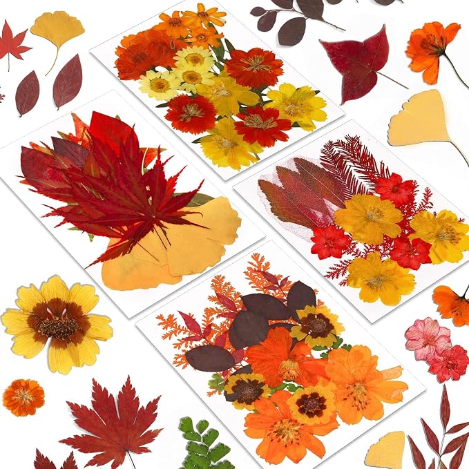 Augshy Fall Dried Pressed Flowers Orange Pressed Fall Leaves by Augshy