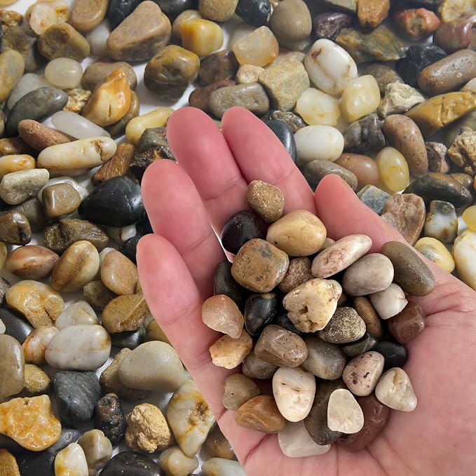 Small Rocks for Plants，3/8" Small Pebbles，1lbs Small River Rocks Decorative Pea by OUPENG