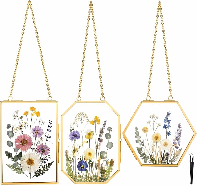 BABUFINE 3PCS Pressed Flower Frames by BABUFINE