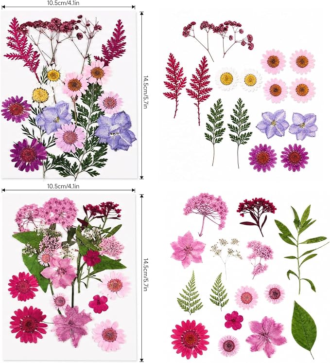 80Pcs Dried Pressed Flowers for Resin, Real Natural Flowers & Leaves Set - Image 2