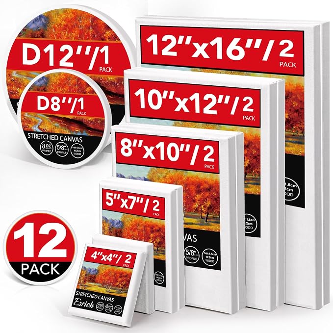 ESRICH 12 Pack Stretched Canvas by ESRICH
