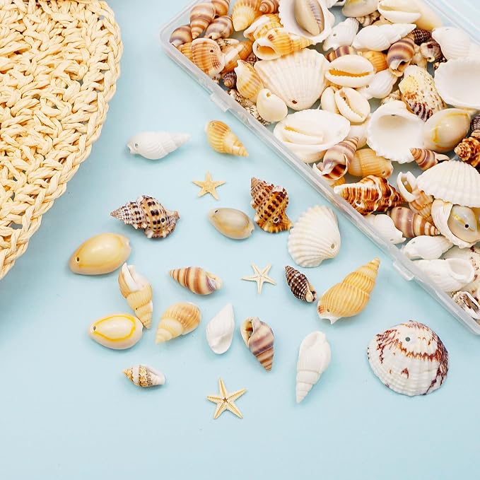 yaokan Natural Sea Shells & Starfish Set Drilled Beach Conchs | Jewelry DIY - Image 4