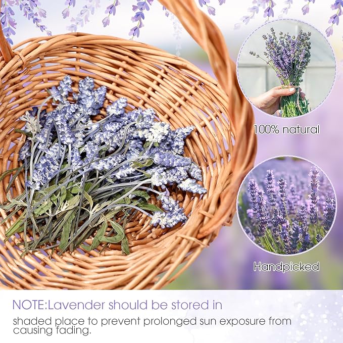 Wavwavw 200 Pcs Pressed Dried Lavender Flowers Stems Natural Preserved Real - Image 7