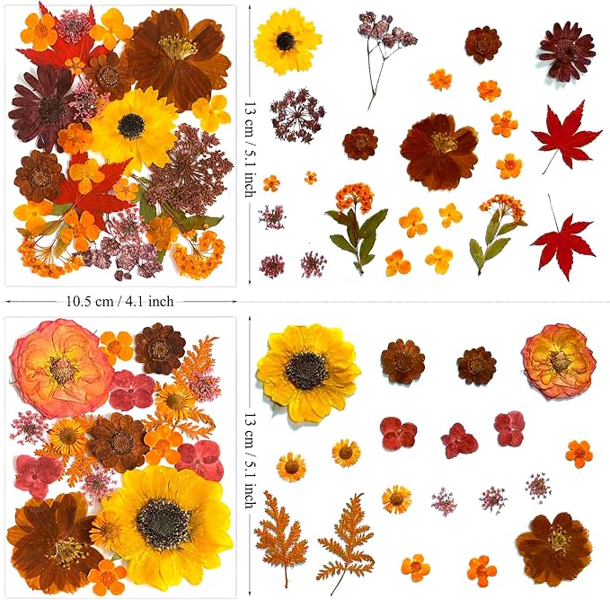 130Pcs Orange Fall Pressed Dried Flowers and Butterfly - Image 5