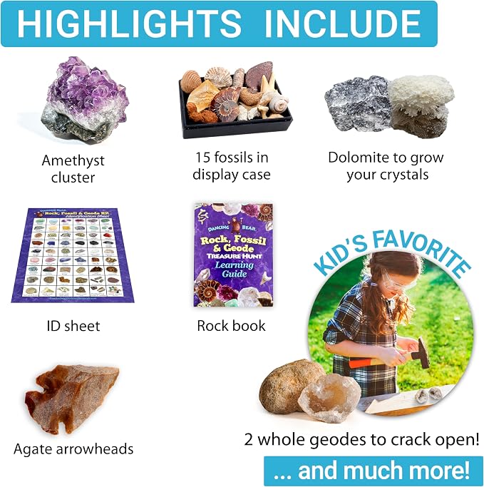 DANCING BEAR Rock, Mineral & Geodes Treasure Hunt Activity Kit Real Shark Teeth - Image 4