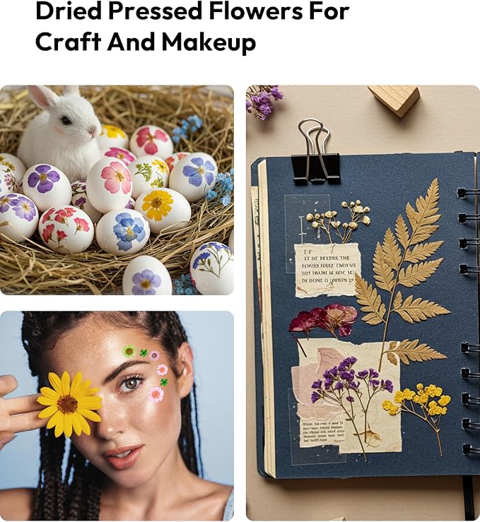 Dried Flowers, Resiners 100Pcs Pressed Flowers - Image 9