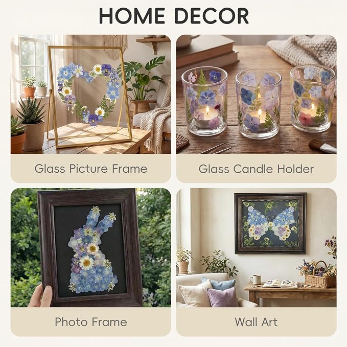 LUXEEASE 140P Hydrangea Dried Pressed Flowers | Large petals, star blooms - Image 6
