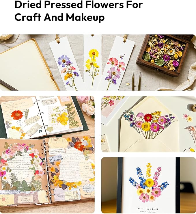 Dried Flowers, Resiners 174Pcs Pressed Flowers - Image 8