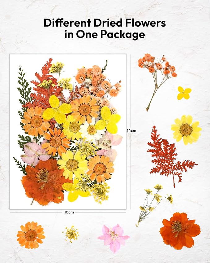 Dried Flowers, Resiners 100Pcs Pressed Flowers - Image 2