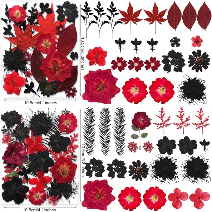 141PCS Black Red Dried Pressed Flowers - Image 4