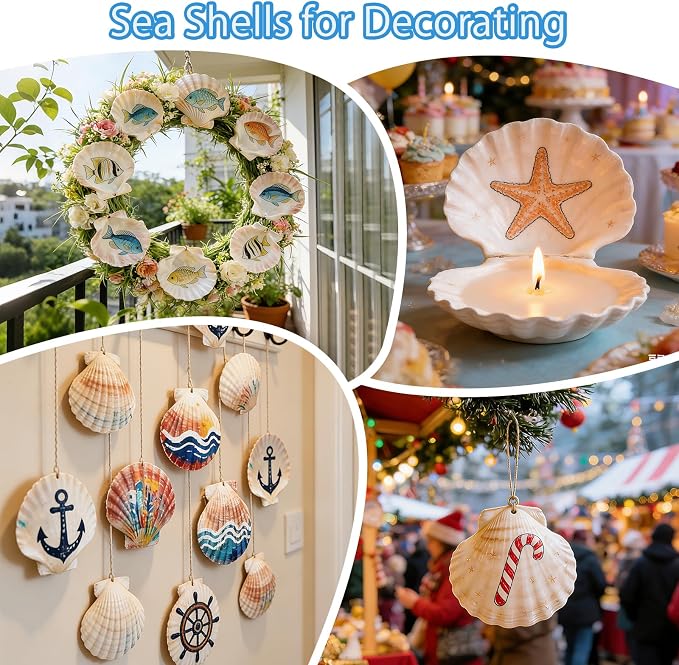 VMEECARL 10Pcs 4"-5" Large Scallop Shells - Image 5