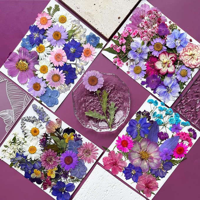 MIKIYA 91Pcs Purple Pressed Dried Flowers - Image 3