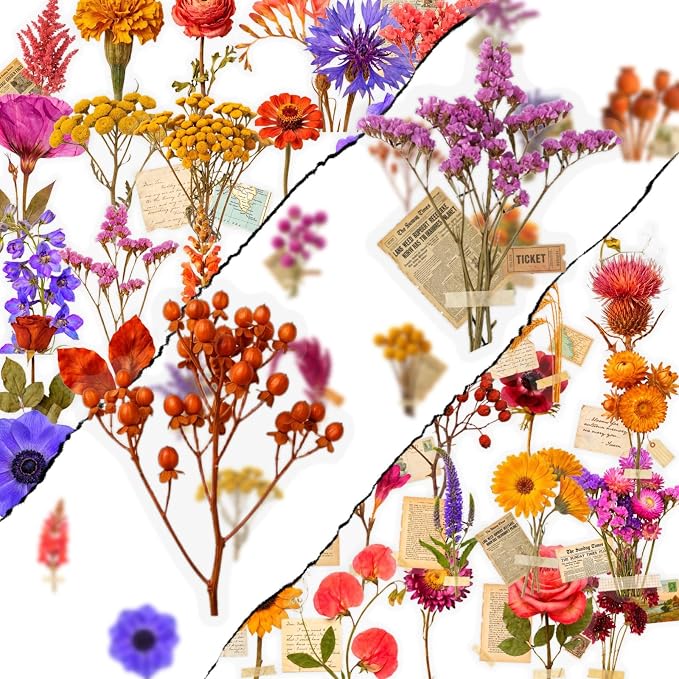 50 Pcs Clear PET Flowers Aesthetic Stickers by Unknown