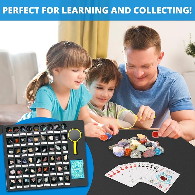 PIBEX Rock Collection Starter Kit - Image 3