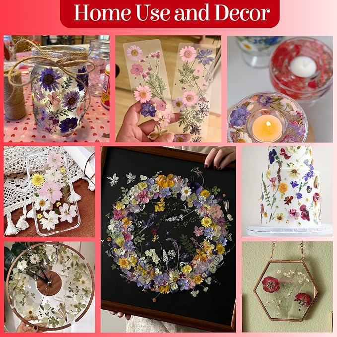 85Pcs Pressed Flowers for Crafts, Real Dried Flowers for Crafts Dried Pressed - Image 5